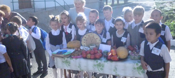 Благотворительная ярмарка “Белый цветок” проведена в с. Ручьи Благотворительная ярмарка “Белый цветок” проведена в с. Ручьи
